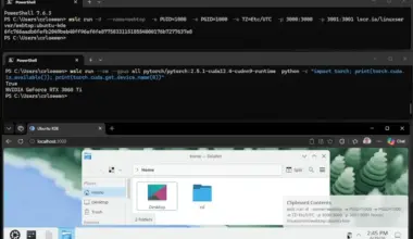 WSLC preview in WSL release