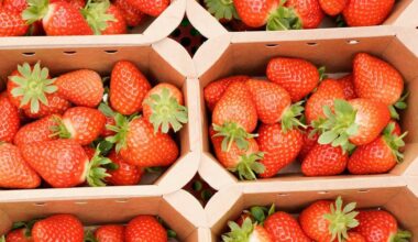 UK berries survive heat for Wimbledon but salad crops struggle | News