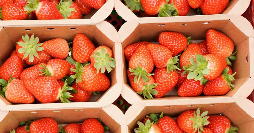 UK berries survive heat for Wimbledon but salad crops struggle | News