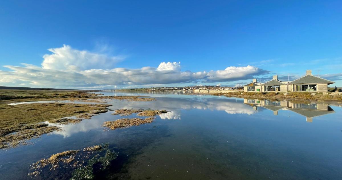 Wildlife hide next to Wild Chesil Centre plan to council