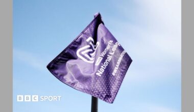 Women's National League corner flag