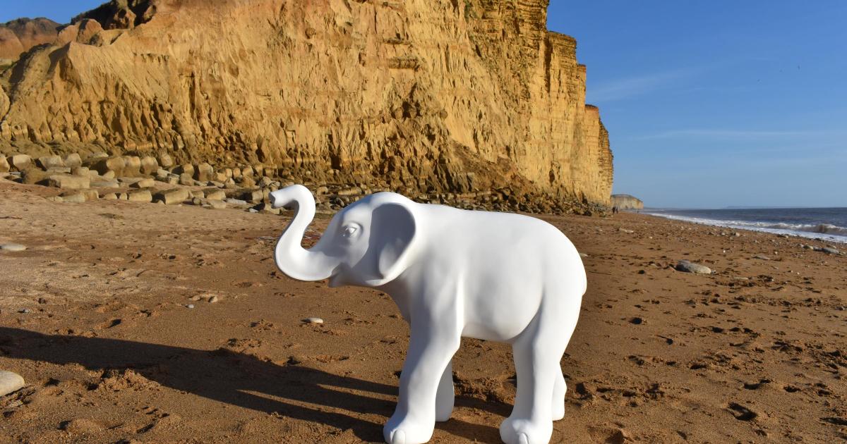 When elephants wandered Dorset: Stampede by the Sea