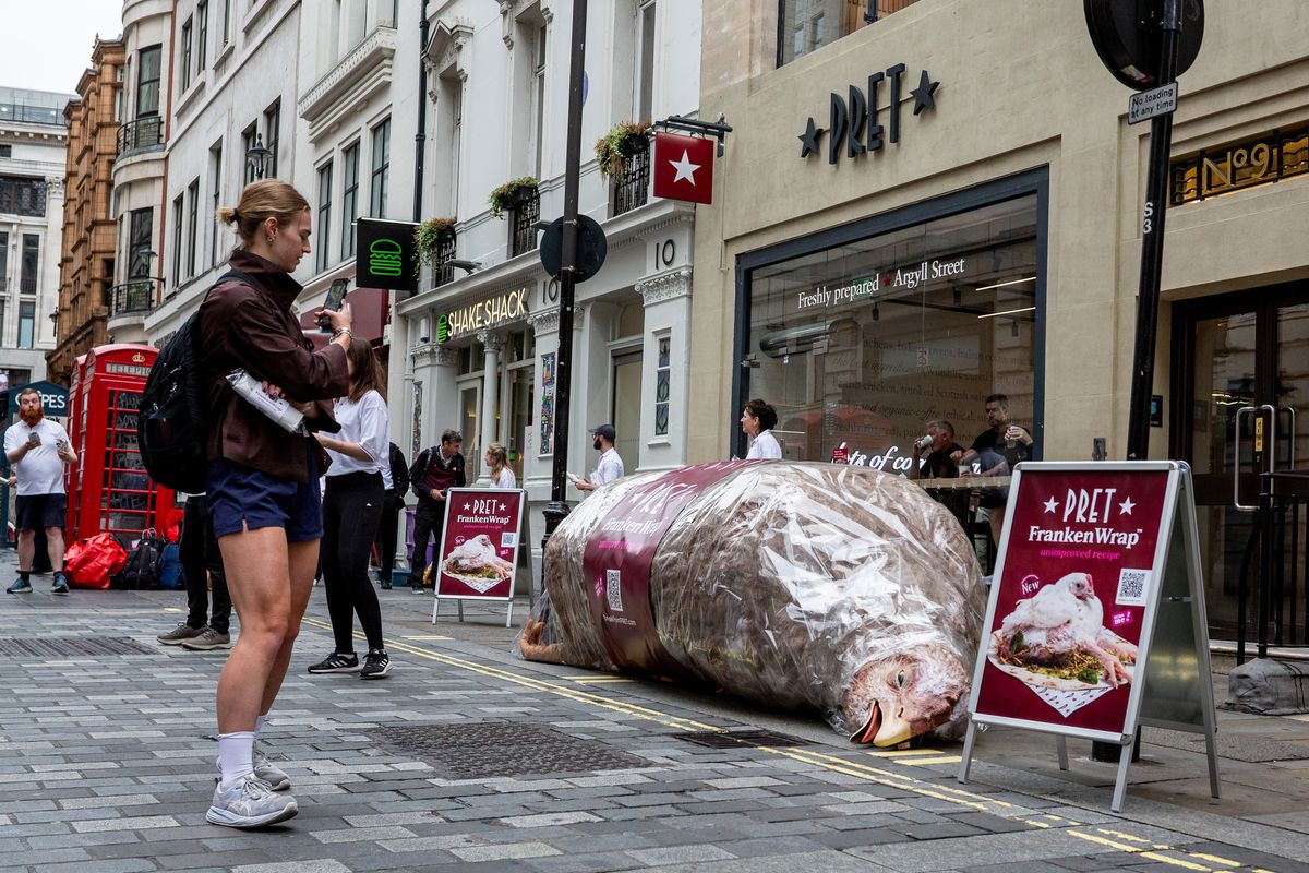Fake Dead chicken lying on street