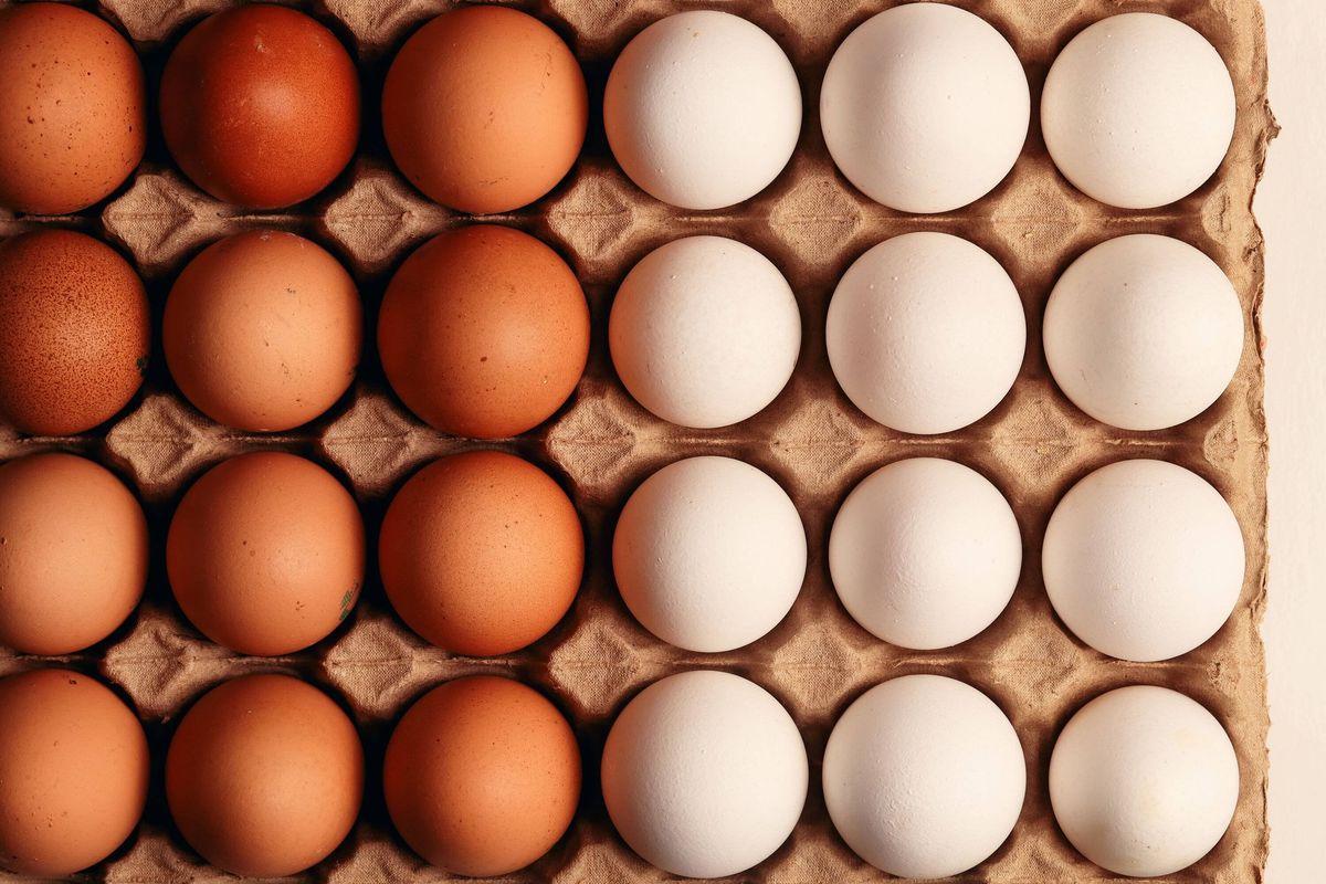 Egg carton with white eggs and brown eggs.
