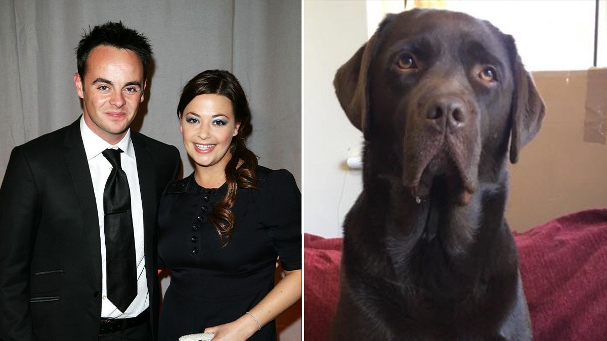 Lisa, Ant and their dog Hurley