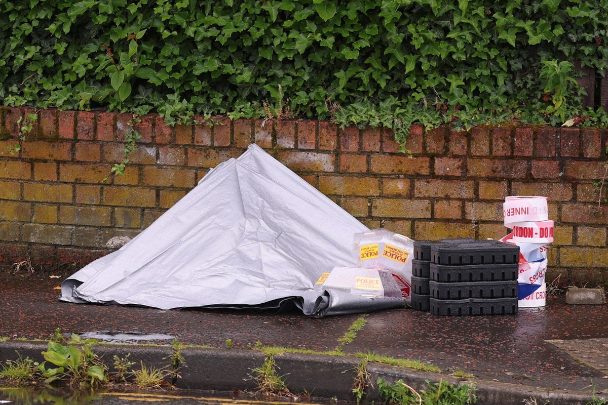 What do we know about the Belfast knife attack?