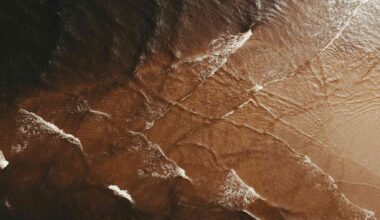 Fossil