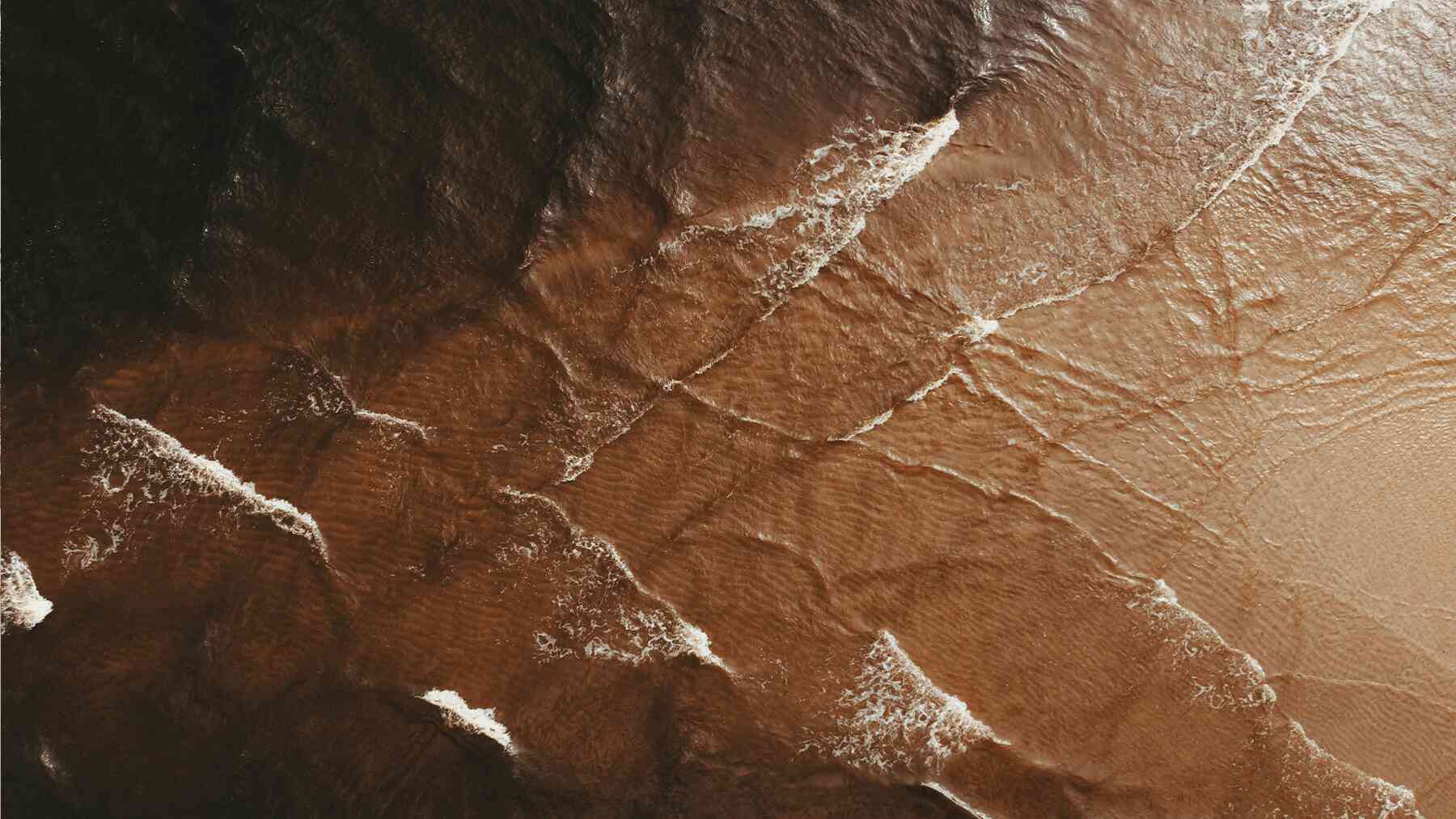 Fossil