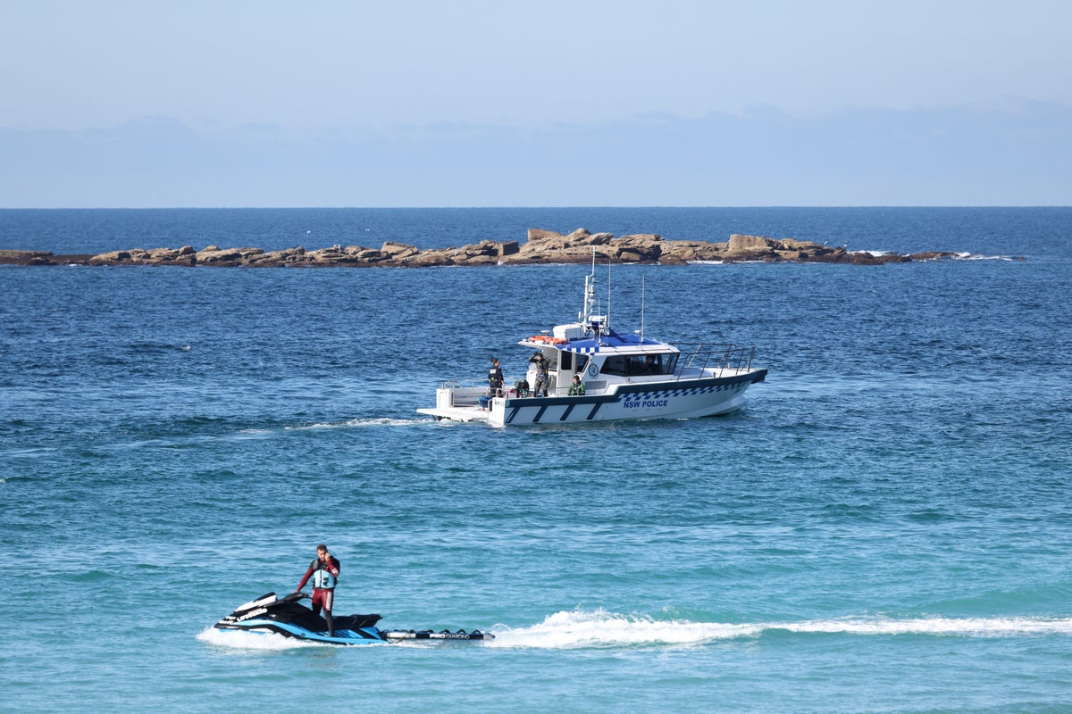 How to prevent future shark attacks without killing sharks - The Independent