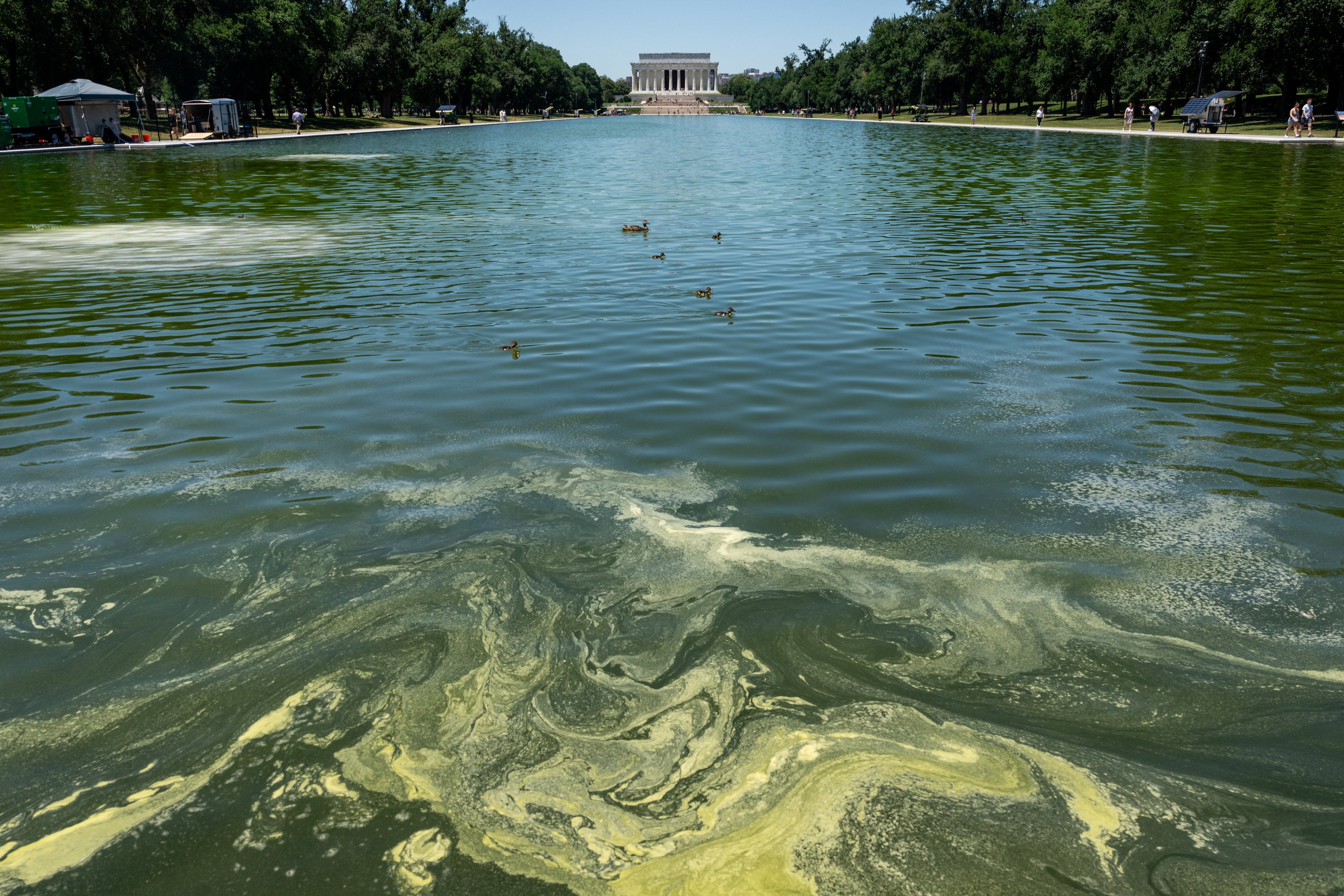 Experts said the new ‘American flag blue’ coating Trump requested may have contributed to the algae bloom by heating up the pool