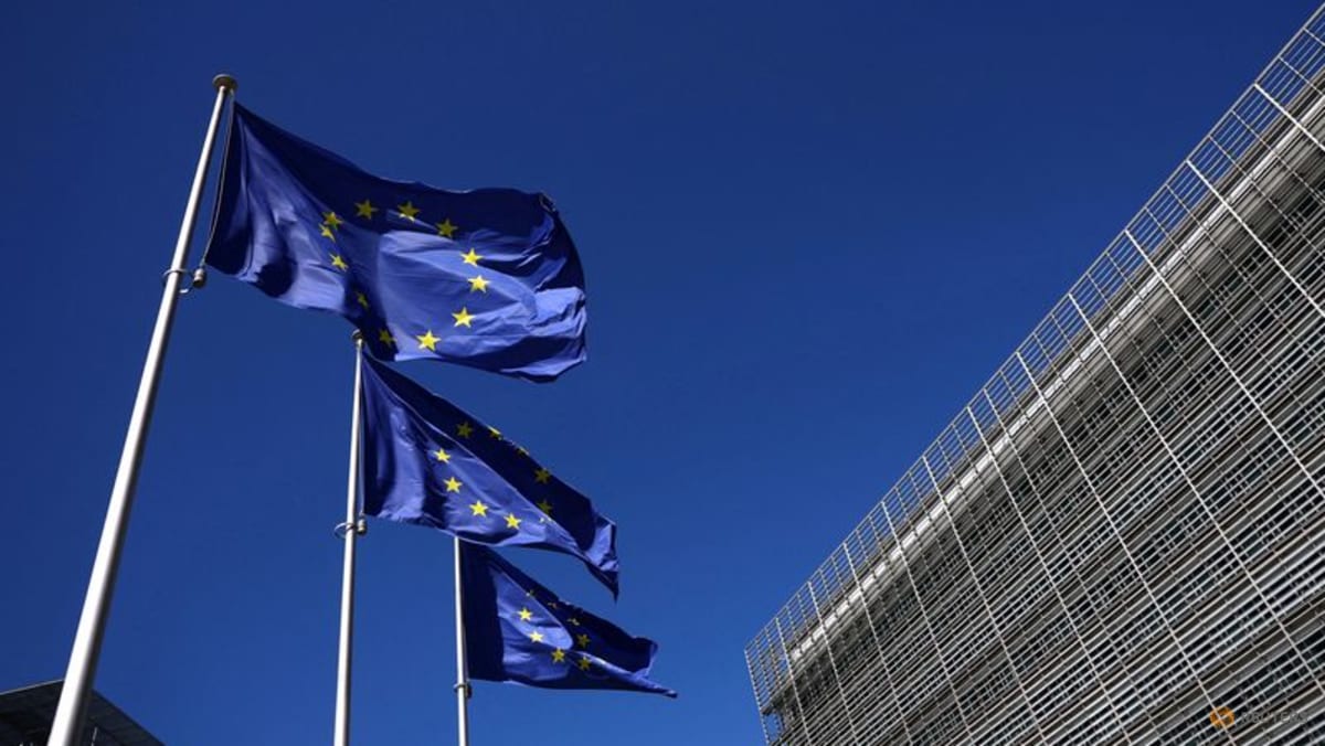 EU bets on digital euro to cut US tech addiction