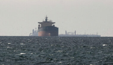 FILE PHOTO: Cargo ships in the Gulf, near the Strait of Hormuz