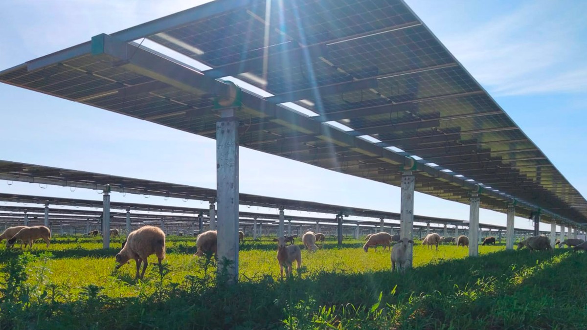 The World's Biggest Energy Bet Is No Longer on Fossil FuelsThe World's Biggest Energy Bet Is No Longer on Fossil Fuels