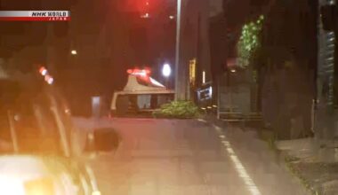 Bear captured at Kyoto tourist spot
