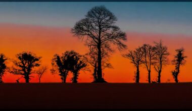 Isle of Wight photography competition names best images