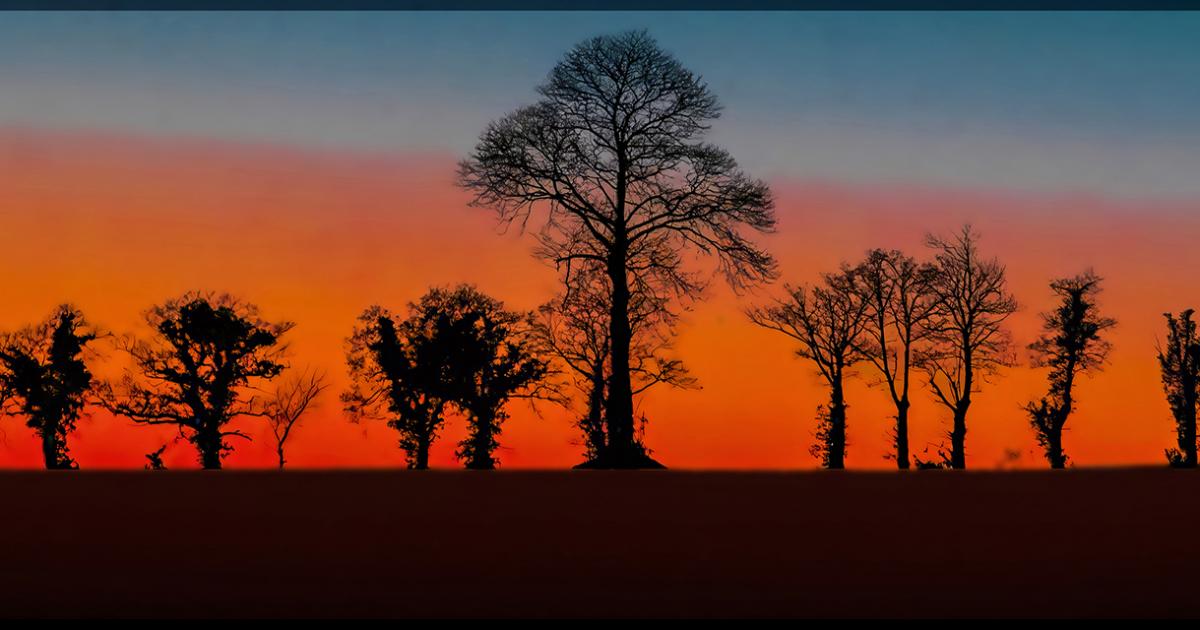 Isle of Wight photography competition names best images