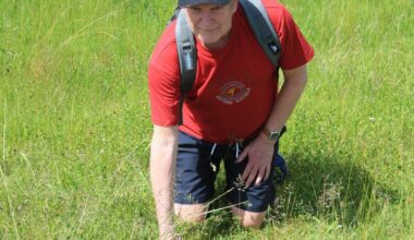 Warrington bee orchids bloom after No Mow May campaign