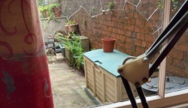 Muntjac crashes through grandmother's window in Malvern