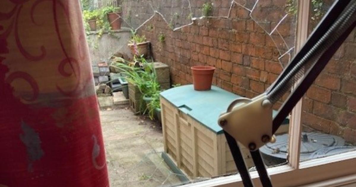 Muntjac crashes through grandmother's window in Malvern