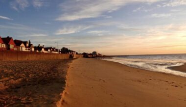 Dead seal left on Walton beach for days during half-term