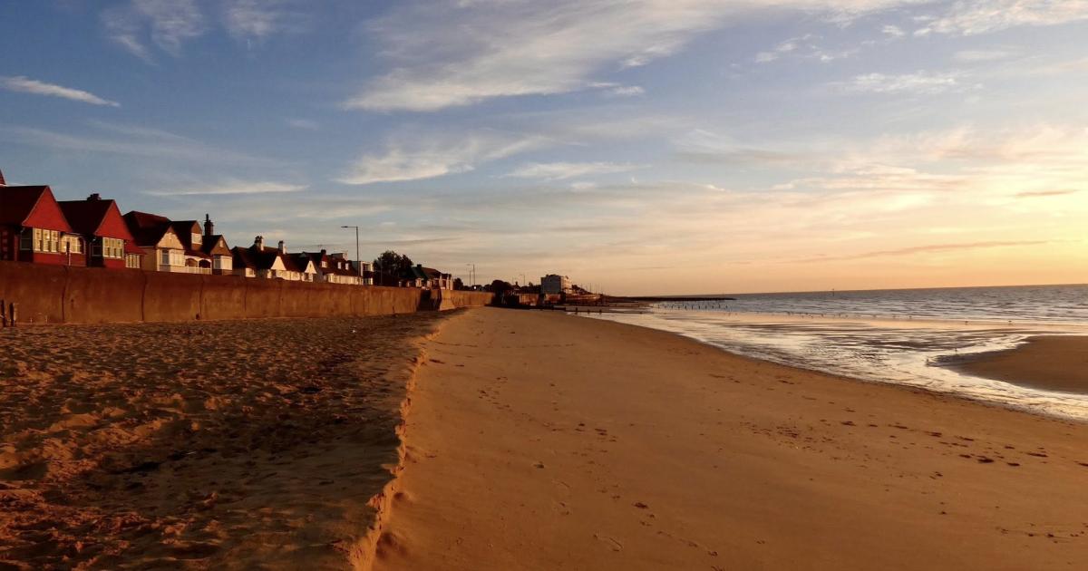 Dead seal left on Walton beach for days during half-term