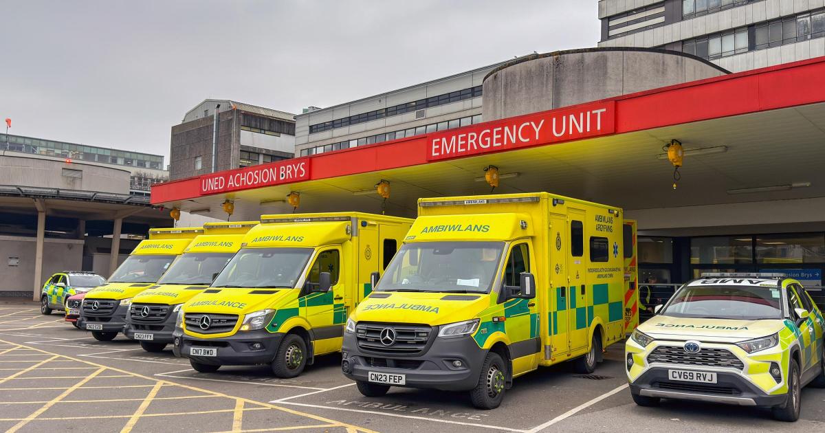 Accidental organ removal among 403 NHS mistakes last year