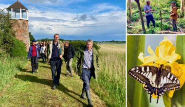 Award-winning Norfolk farm boosts nature in the Broads