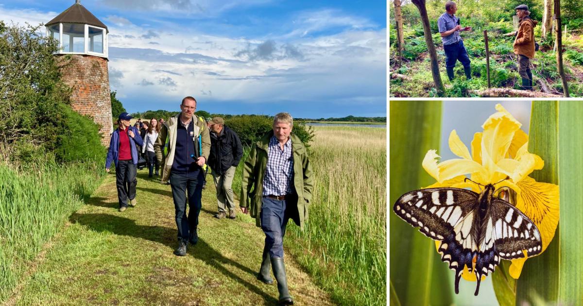 Award-winning Norfolk farm boosts nature in the Broads
