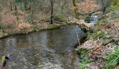 Lake District river warning after 'faecal pollution' reports