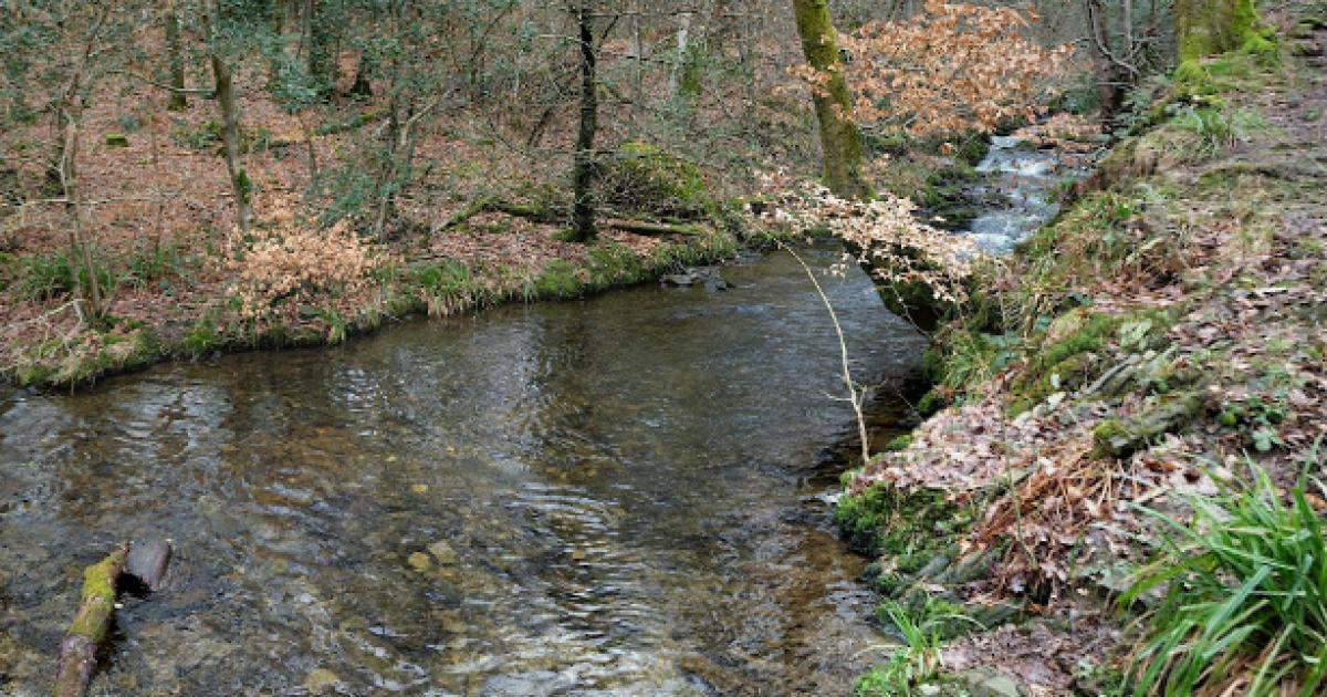 Lake District river warning after 'faecal pollution' reports