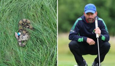 Darlington golfers shocked after ball lands near 6ft snake