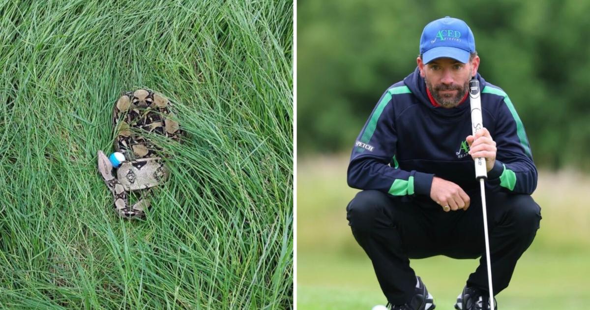 Darlington golfers shocked after ball lands near 6ft snake