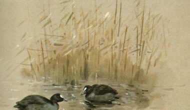 Lin Bensley: Life of Hickling reserve warden Jim Vincent