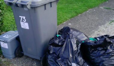 MPs call for swift resolution to east Suffolk bin problems