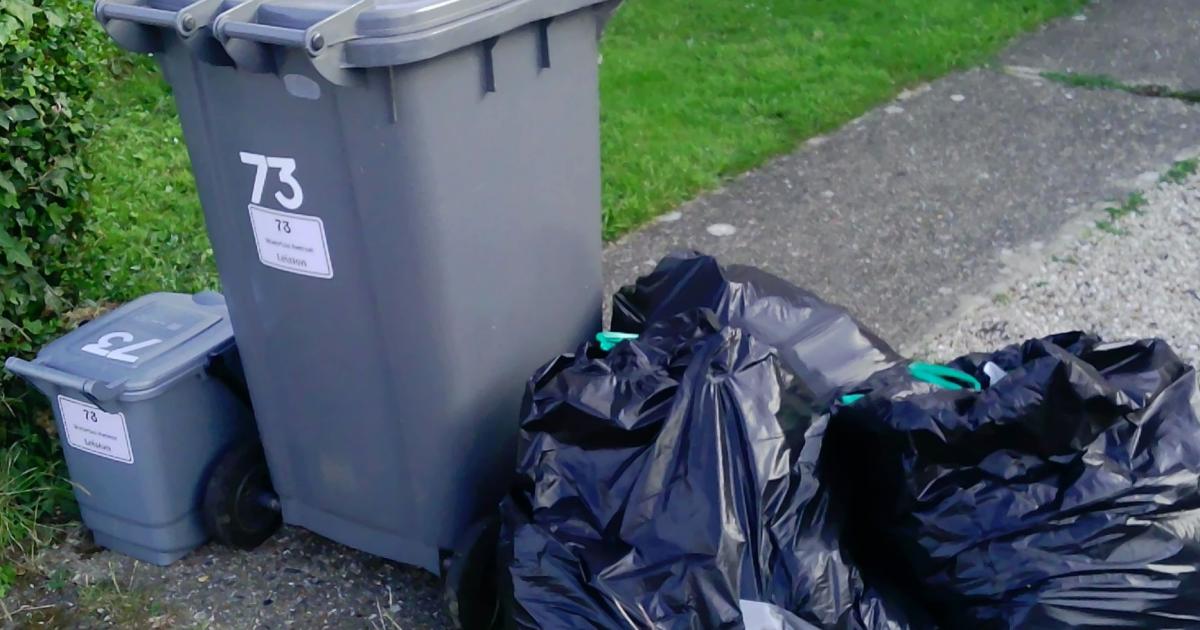 MPs call for swift resolution to east Suffolk bin problems