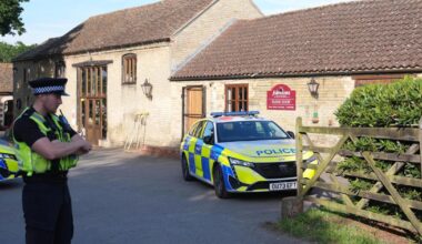 Ethnicity of Norfolk man arrested after crocodile incident