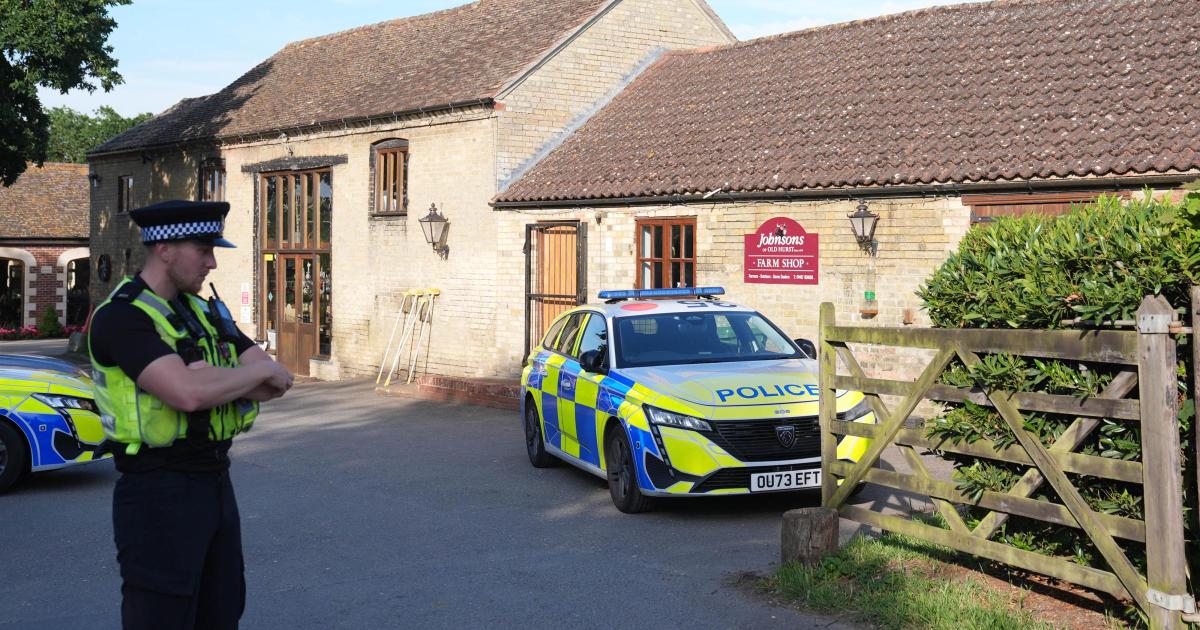 Ethnicity of Norfolk man arrested after crocodile incident