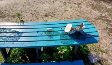 Essex nature reserves devastated by vandalism and damage