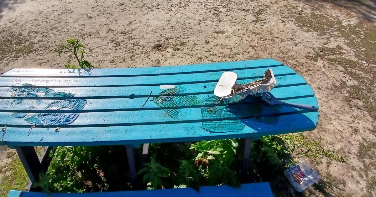 Essex nature reserves devastated by vandalism and damage