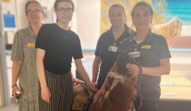 Therapy horse visited patients at Alderney Hospital in Poole