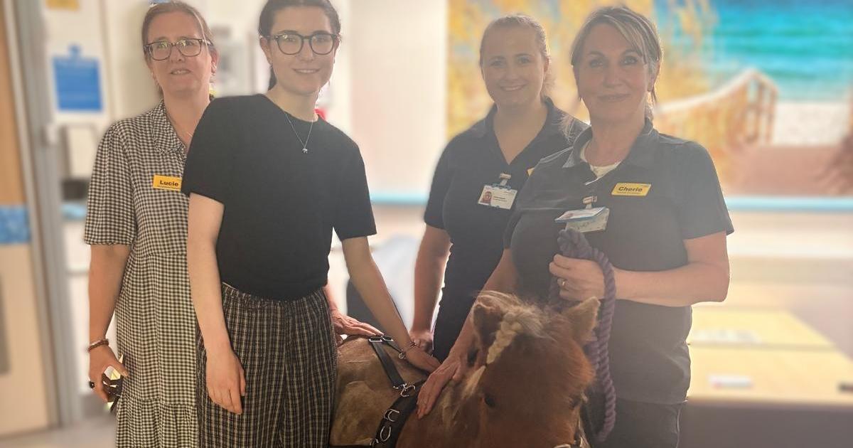 Therapy horse visited patients at Alderney Hospital in Poole
