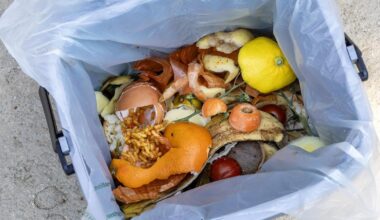 Basingstoke food waste bins recycle more than 2,547 tonnes
