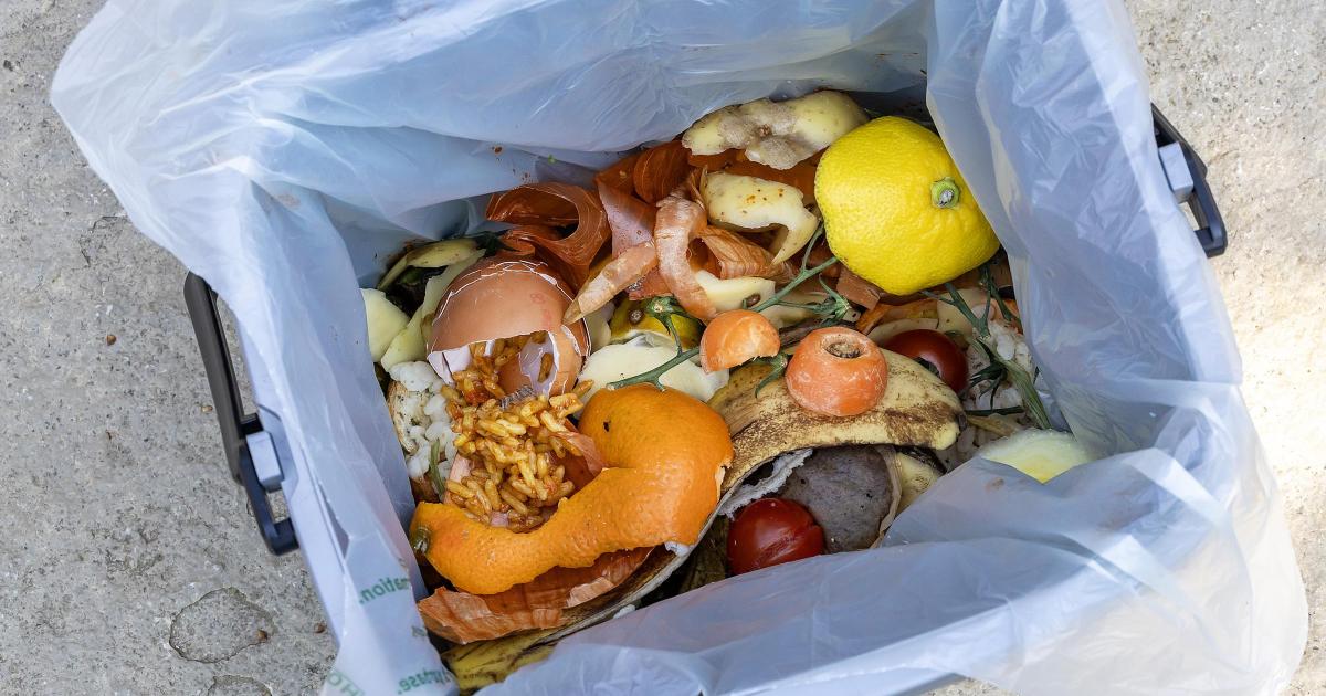 Basingstoke food waste bins recycle more than 2,547 tonnes