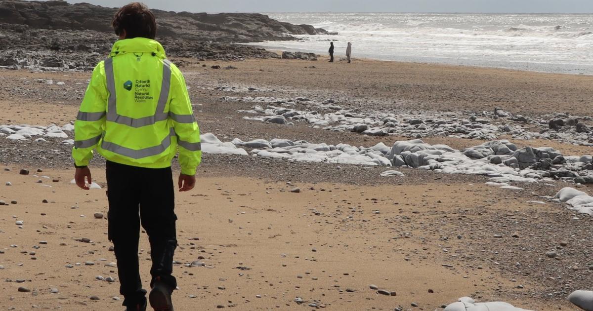 Watch House Bay, Barry water quality concerns prompt probe