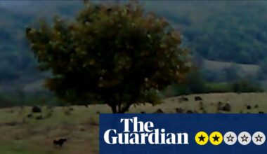 Dry Leaf review – three-hour amble around the football pitches of Georgia in search of a daughter | Movies