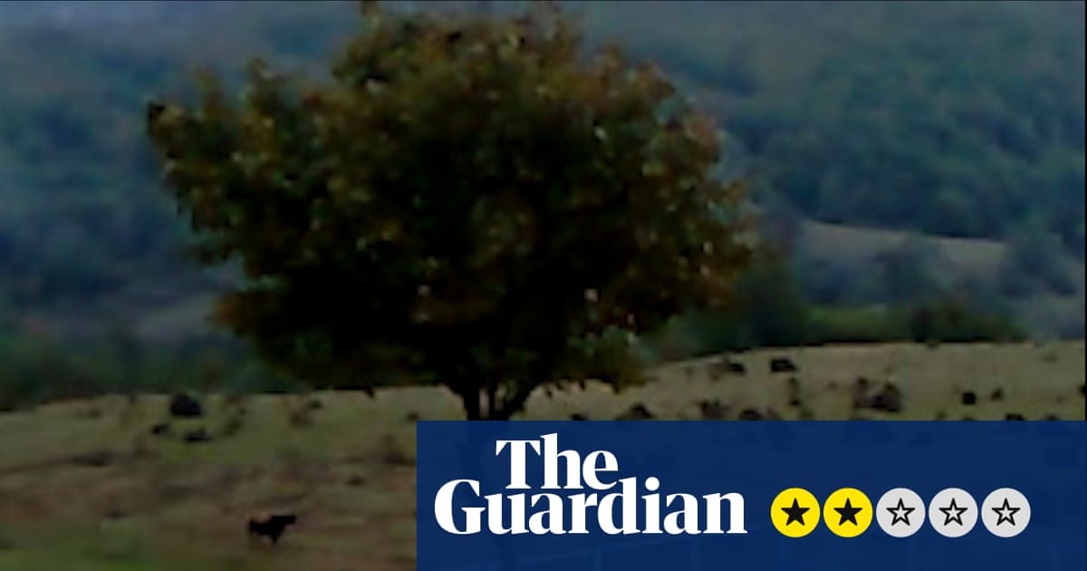 Dry Leaf review – three-hour amble around the football pitches of Georgia in search of a daughter | Movies