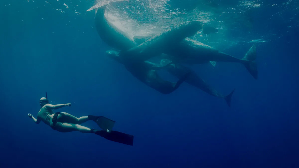 'Viscerally horrific': New killer whale movie trailer unlocks next-level fears for viewers