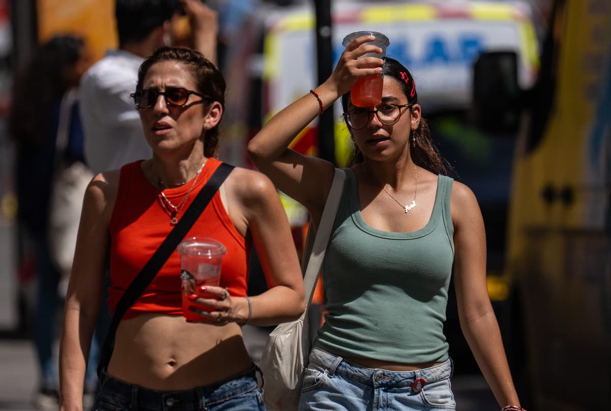 Shops, offices and schools close amid London heatwave meltdown - London Evening Standard