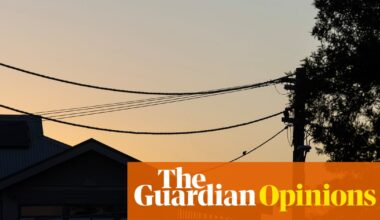 For those shedding a tear over house prices falling, these numbers may change your mind | Greg Jericho