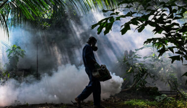 Drones Used to Fight Mosquitoes as Dengue Fever Surges in Sri Lanka